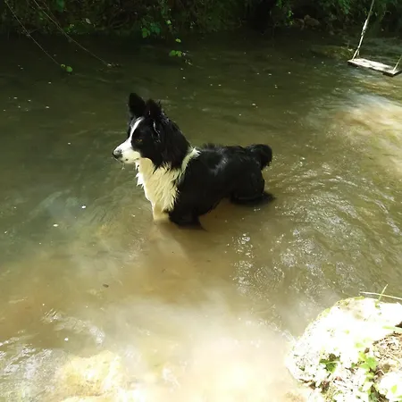 Σπίτι διακοπών Moulin De Lalande Belaye