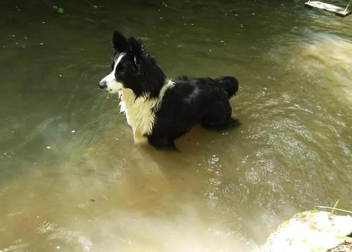 Casa de Férias Moulin De Lalande Belaye